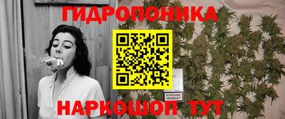 индика Берёзовский